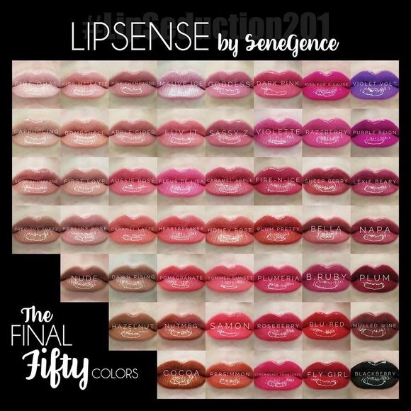 LipSense Makeup Lipsense Mini Starter Kit Poshmark